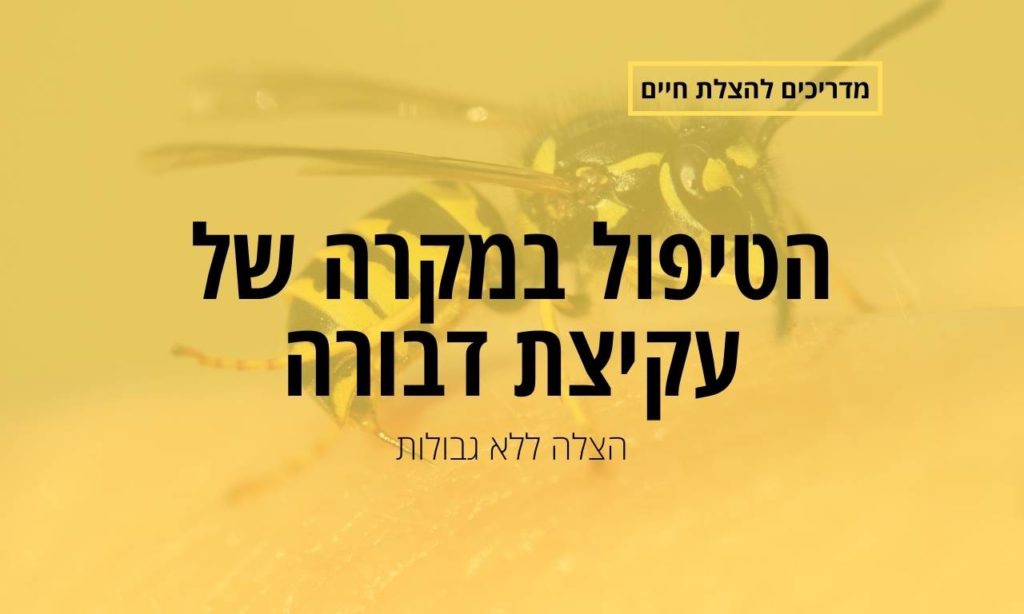 הטיפול במקרה של עקיצת דבורה