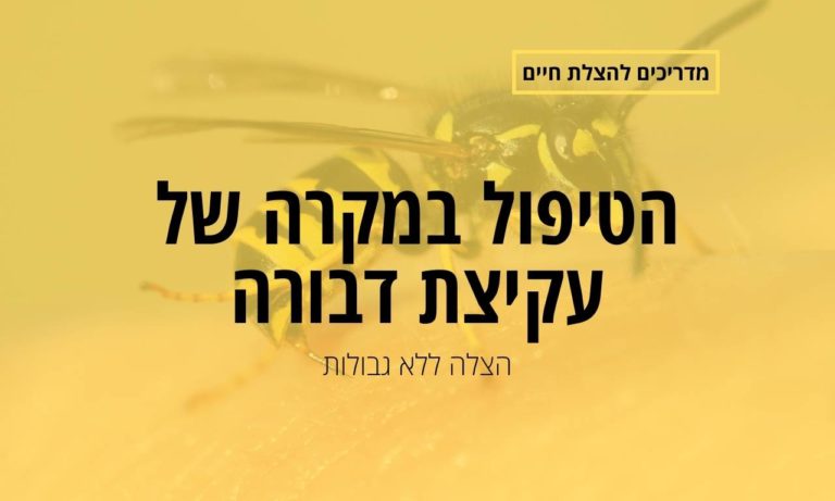 הטיפול במקרה של עקיצת דבורה