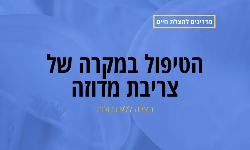 הטיפול במקרה של צריבת מדוזה