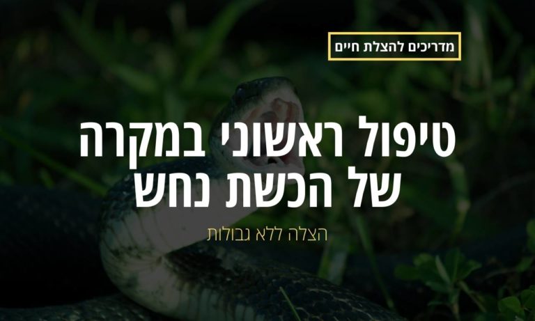 טיפול ראשוני במקרה של הכשת נחש